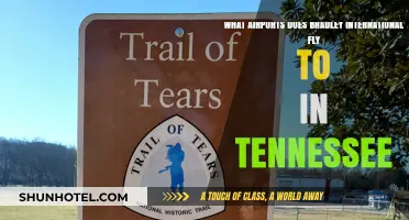 Bradley International Airport's Tennessee Destinations: A Comprehensive Guide