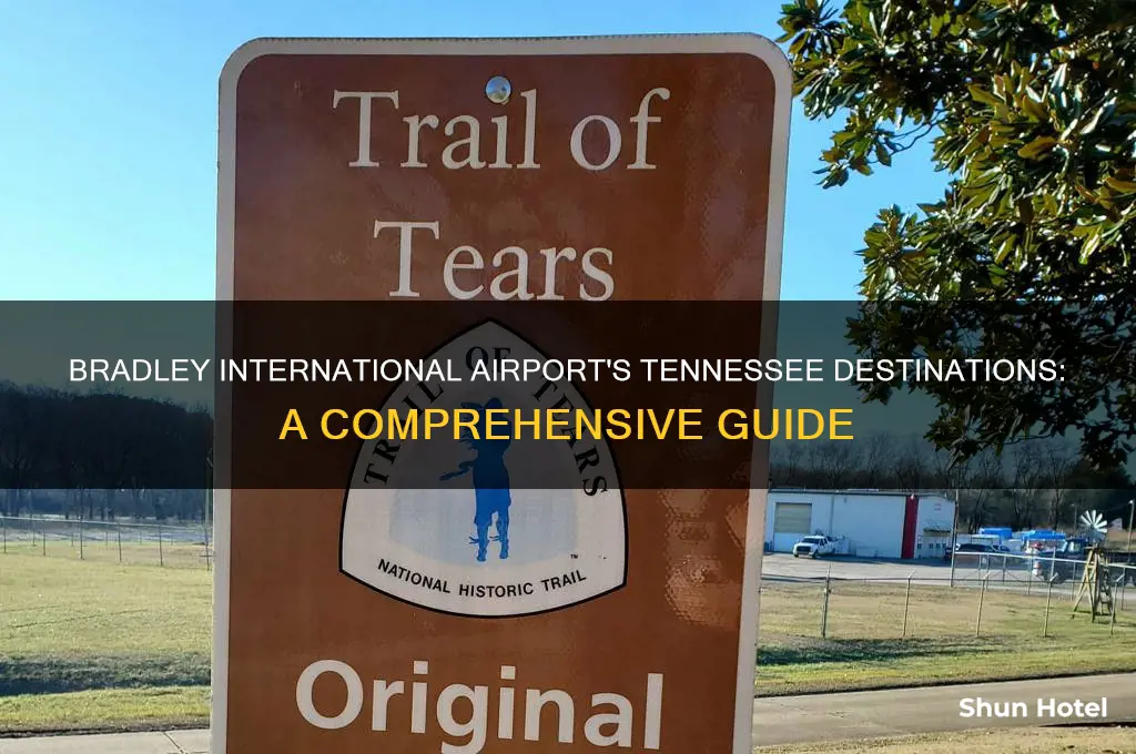 what airports does bradley international fly to in tennessee