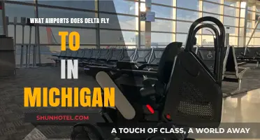 Delta's Michigan Destinations: Airports and Flight Options in the Great Lakes State