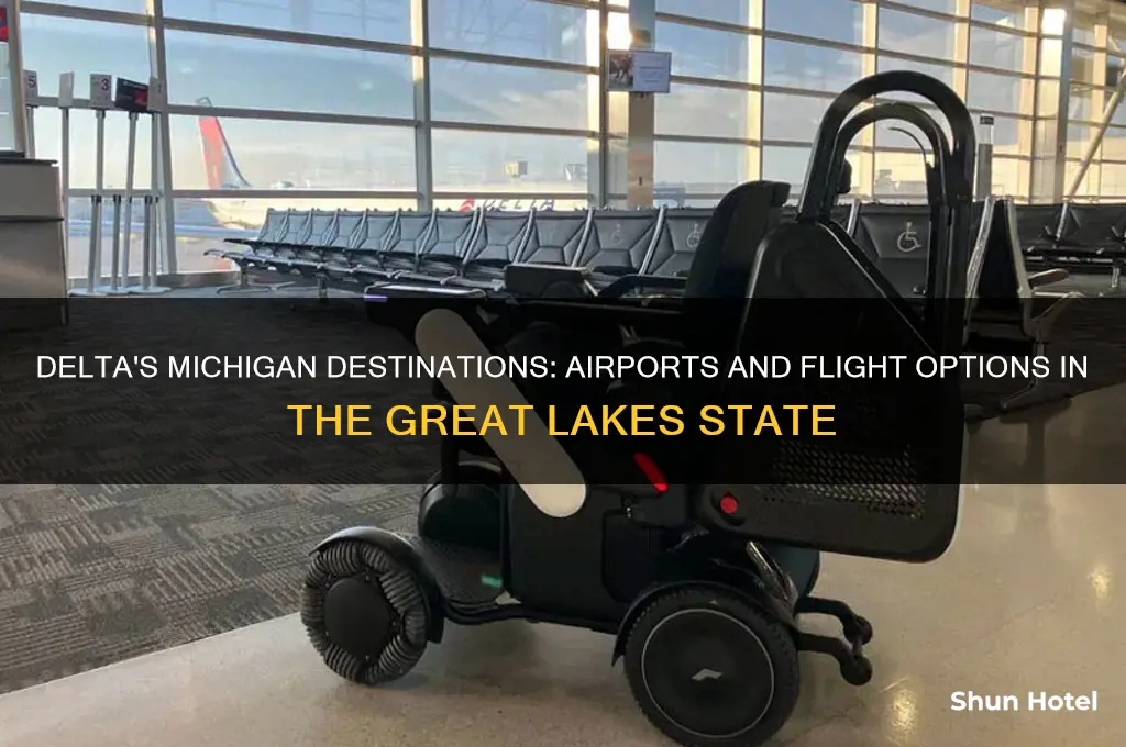 what airports does delta fly to in michigan