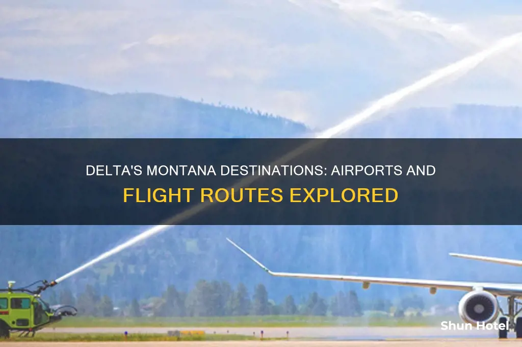 what airports does delta fly to in montana