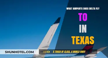 Delta's Texas Destinations: A Guide to Airports Served in the Lone Star State