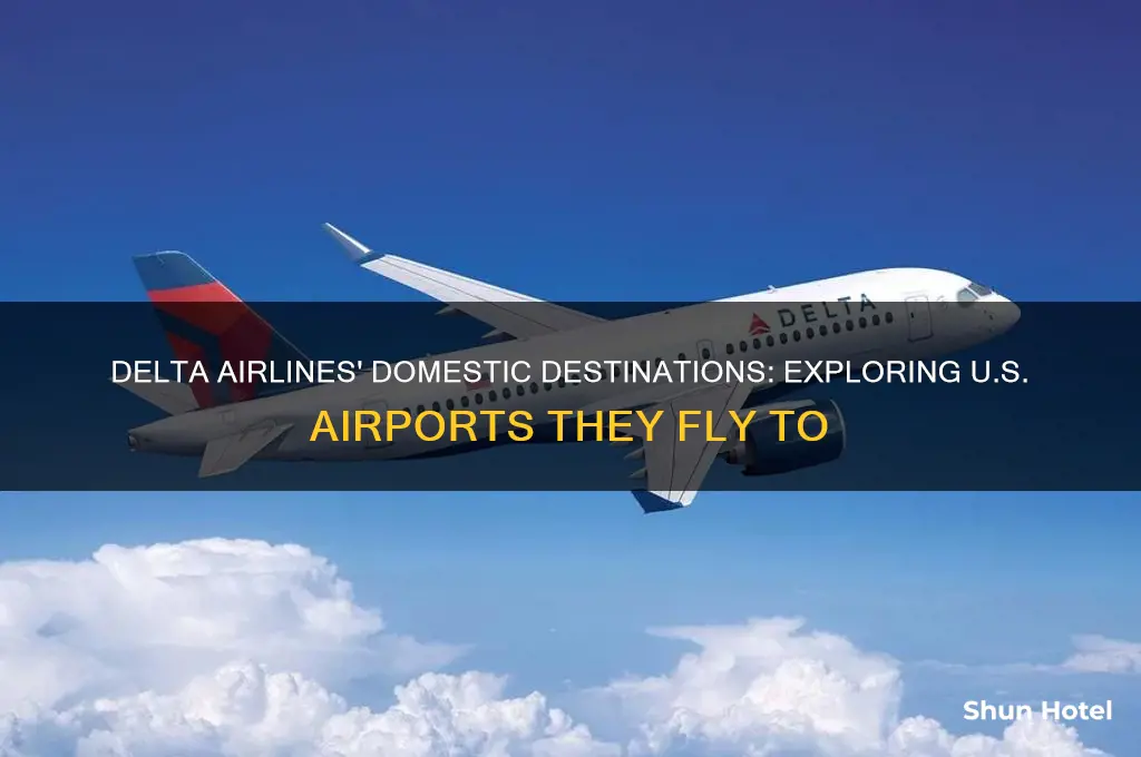 what airports does deltla fly to in united states