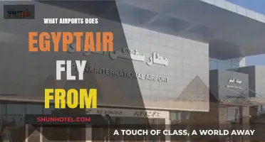 EgyptAir's Global Reach: Key Airports for International and Domestic Flights