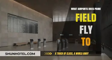 Paine Field Destinations: Exploring Airports Served by This Regional Hub