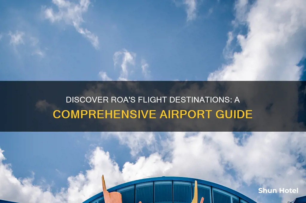 what airports does roa fly to