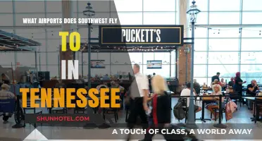 Southwest Airlines Tennessee Destinations: A Guide to Airports Served
