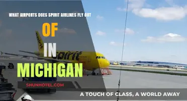 Spirit Airlines Michigan: Airports and Flight Destinations in the State