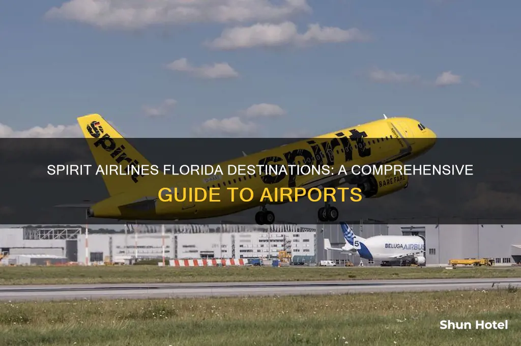 what airports does spirit fly to in florida