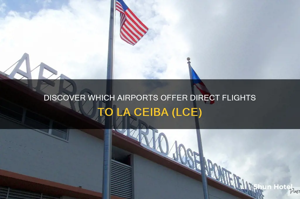 what airports flies to lce