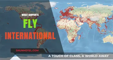 Exploring Global Gateways: Which Airports Offer International Flights?