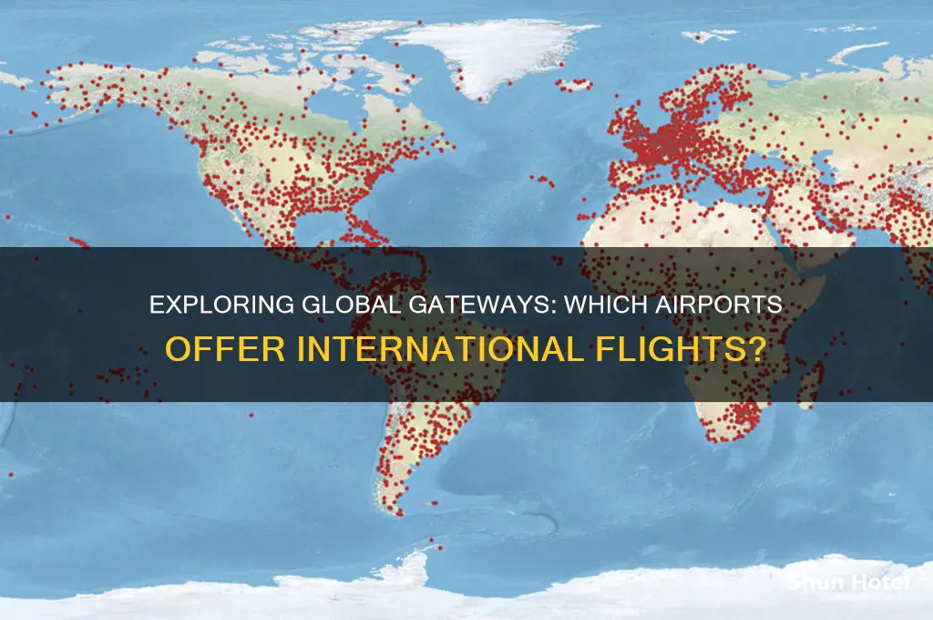 what airports fly international