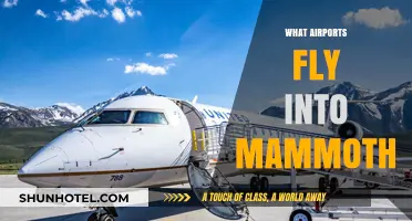 Discover the Closest Airports for Flying into Mammoth Lakes
