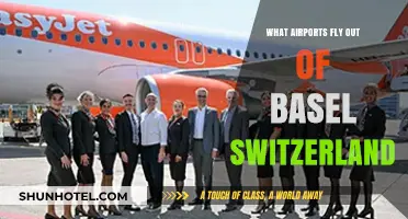 Basel's Gateway: Exploring Airports for International Flights from Switzerland