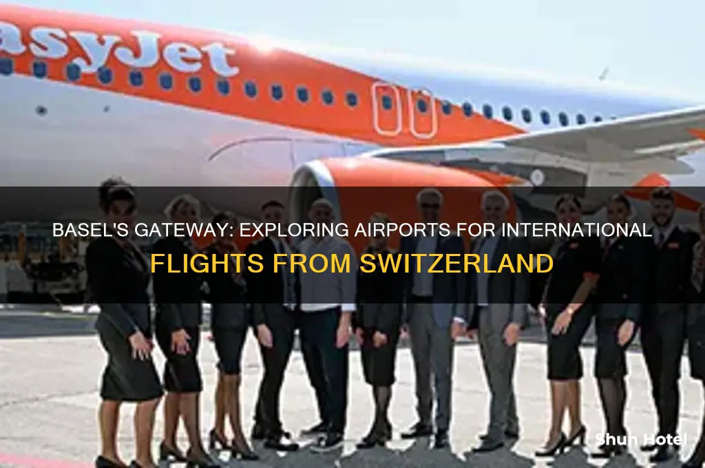 what airports fly out of basel switzerland