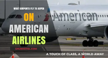 American Airlines Flights to Aspen: Your Ultimate Airport Guide