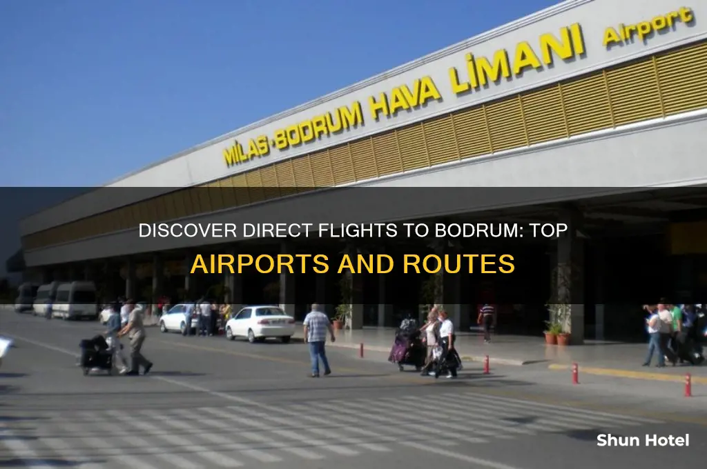 what airports fly to bodrum