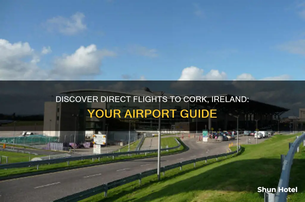 what airports fly to cork ireland