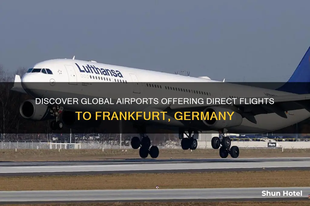 what airports fly to frankfurt