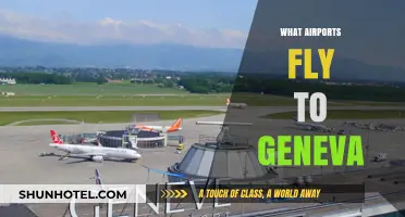 Discover Top Airports Offering Direct Flights to Geneva, Switzerland
