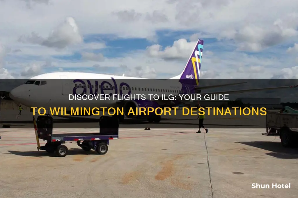 what airports fly to ilg