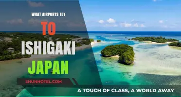 Discover Ishigaki: Direct Flights to Japan's Tropical Paradise