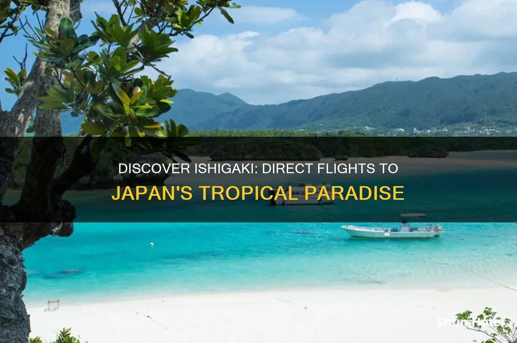 what airports fly to ishigaki japan