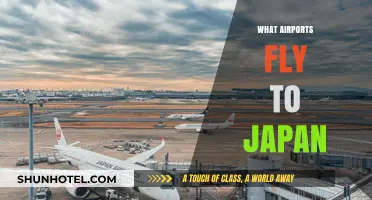 Discovering Global Airports Offering Direct Flights to Japan