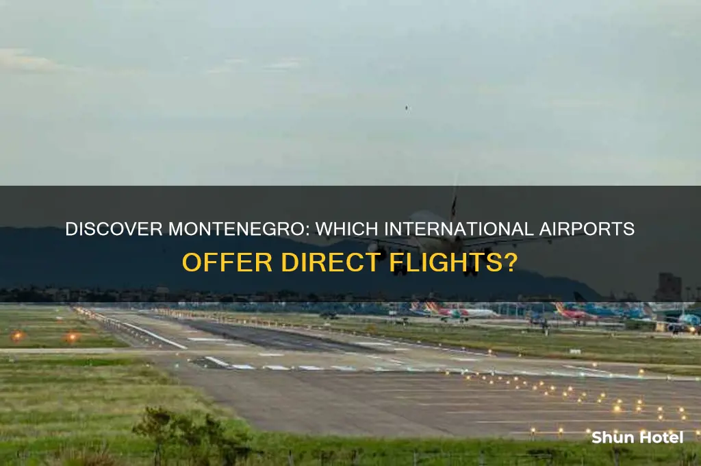 what airports fly to montenegro