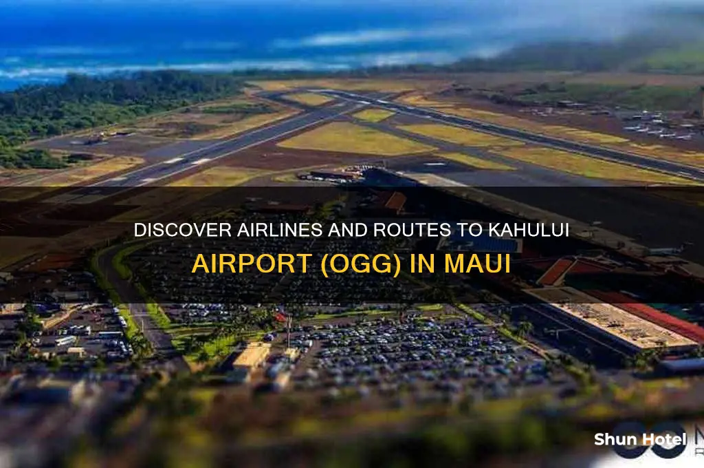 what airports fly to ogg