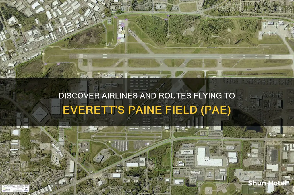 what airports fly to pae