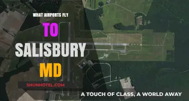 Discover Flights to Salisbury, MD: Your Airport Guide