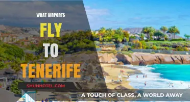 Discover Tenerife: Top Airports Offering Direct Flights to the Island