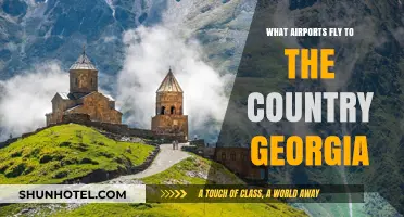 Discover Direct Flights to Georgia: Top Airports and Routes