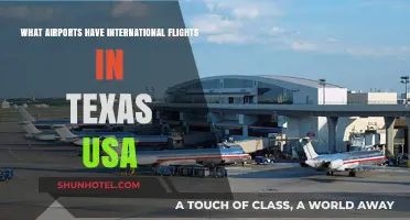 Texas' International Airports: Your Gateway to Global Destinations