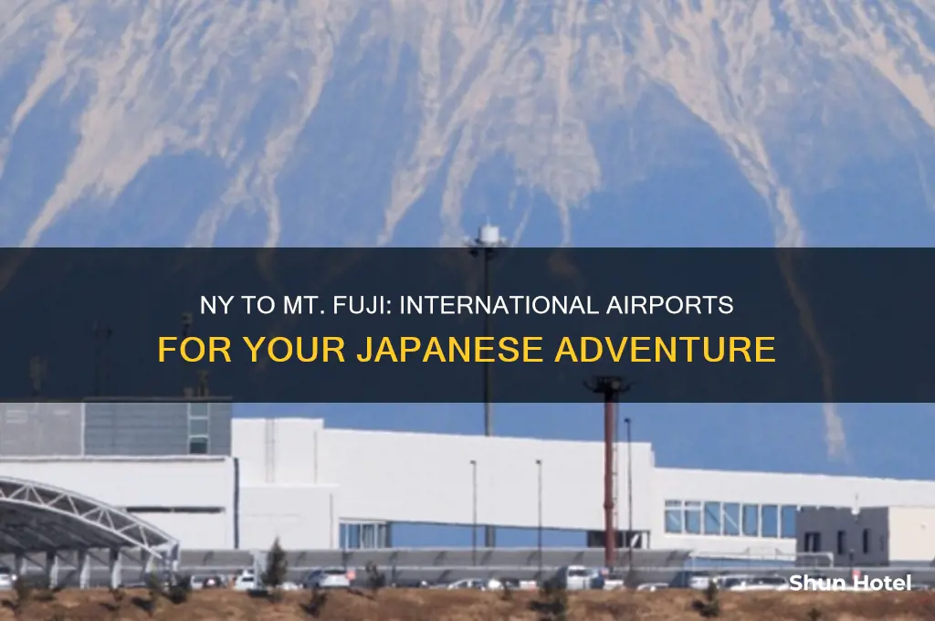 what airports have international travel from ny to mt fuji