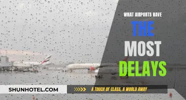 Airports with the Worst Delay Records