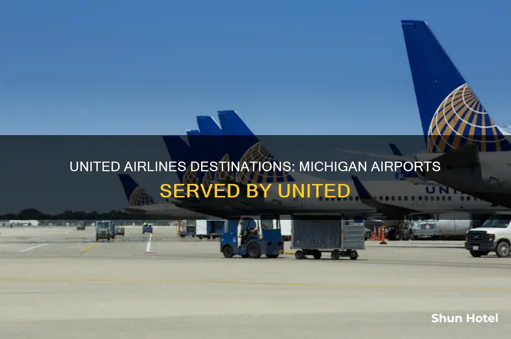 what airports in mi does united fly into