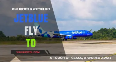 JetBlue's New York Destinations: Which Airports Does It Serve?