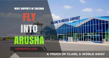 Tanzania Airports with Direct Flights to Arusha: Your Travel Guide