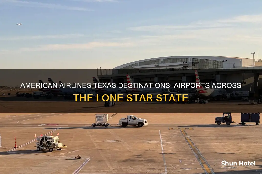 what airports in texas does american airlines fly into