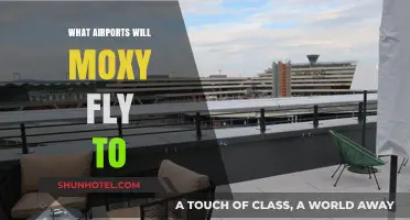 Moxy's Flight Destinations: Exploring the Airports This Airline Will Serve