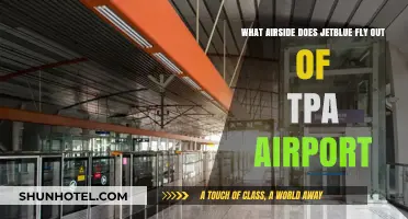 JetBlue's Airside Terminal at Tampa International Airport (TPA) Explained