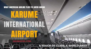Which US Airline Services Abeid Amani Karume International Airport?