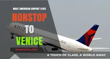 Nonstop Flights to Venice: Which U.S. Airport Offers Direct Routes?
