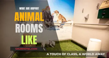 Animal Rooms: A Relaxing Airport Sanctuary for Pets