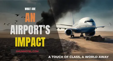 Airports: Impacting Communities, Environment, and Beyond