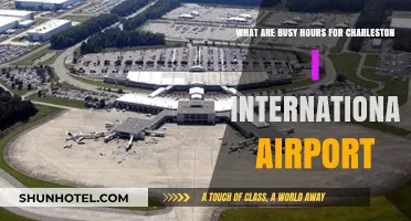 Peak Travel Times at Charleston International Airport: When to Expect Crowds