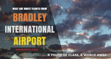 Direct Flights from Bradley International Airport: Your Nonstop Travel Guide