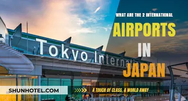 Discover Japan's Two Major International Airports: Narita and Kansai